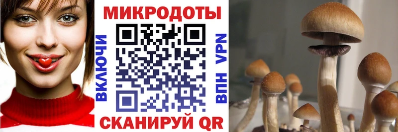 Псилоцибиновые грибы прущие грибы  продажа наркотиков  Шумиха 